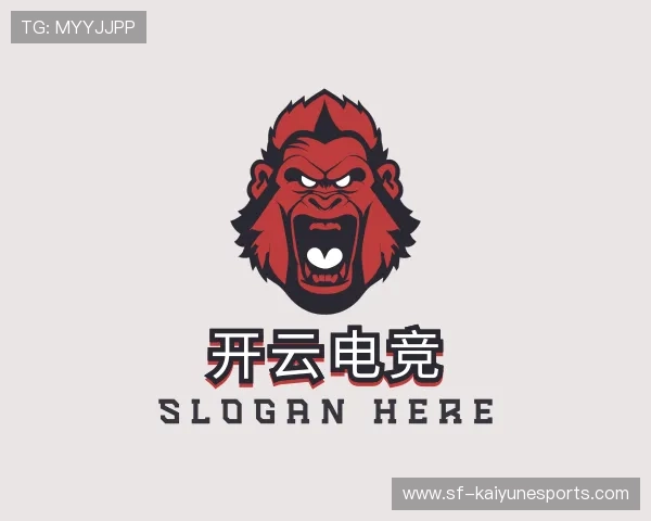 关于开云电竞官网